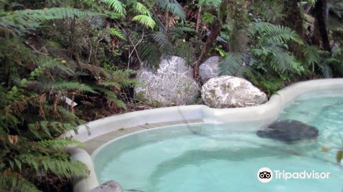 Franz Josef Glacier Hot Pools