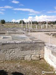 Archaeological Site at Pella