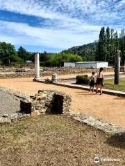 Museum and site of Saint-Romain-en-Gal Vienne