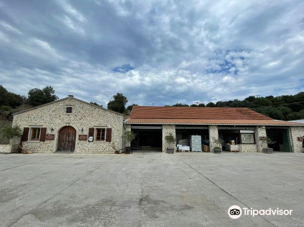 Mavroudis Olive oil (Corfu Olive Oil, Olive Oil Museum, Corfu Olive Tour)