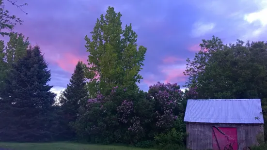 Vankleek Hill Vineyard