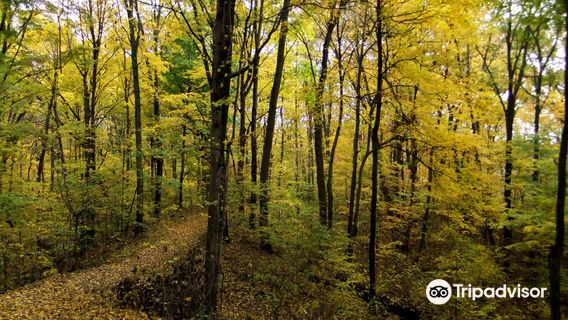Van Buren State Park