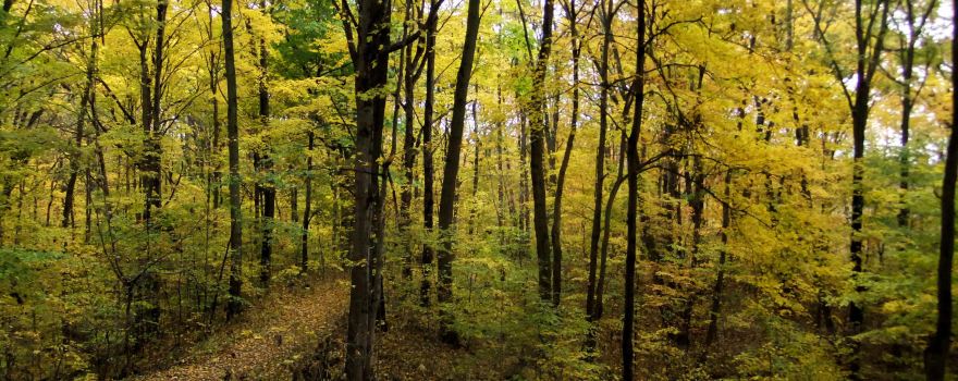 Van Buren State Park