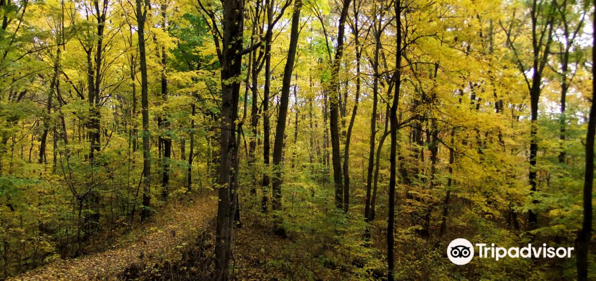 Things to Do in Van Buren County in 2024 - Top Attractions, Local Food