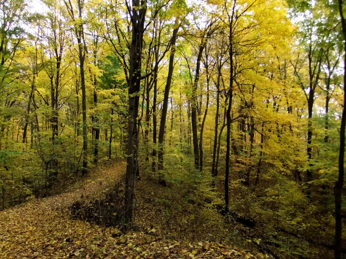 Hotels near Van Buren State Park