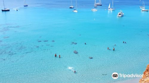 Playa De Binigaus