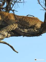 Excursions Bahati KENYA