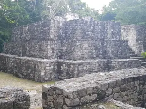 Réserve de biosphère de Calakmul