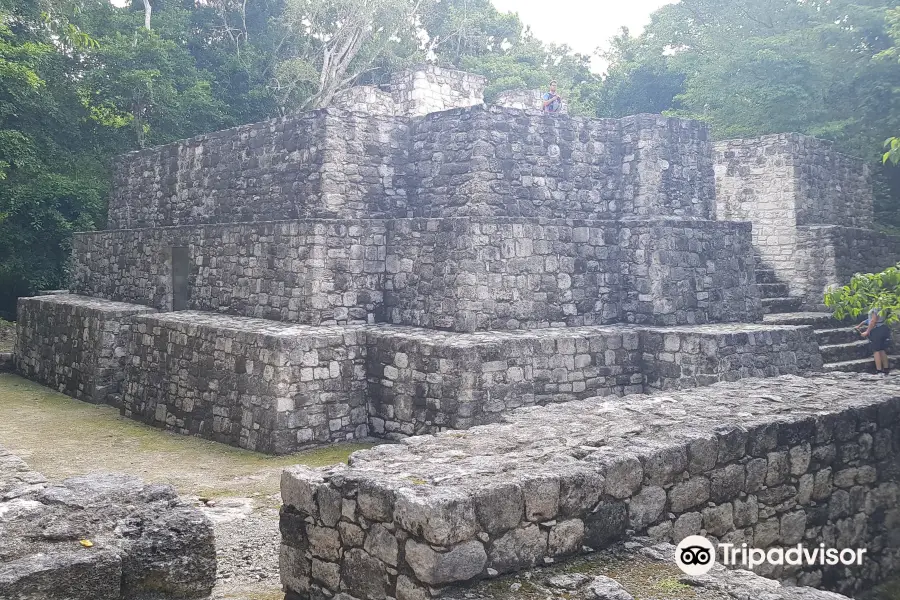 Reserva de la Biósfera Calakmul