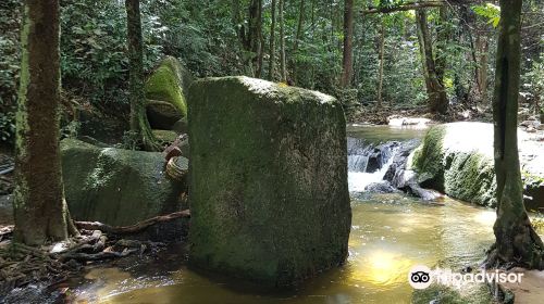 Sungai Tekala Recreation Forest