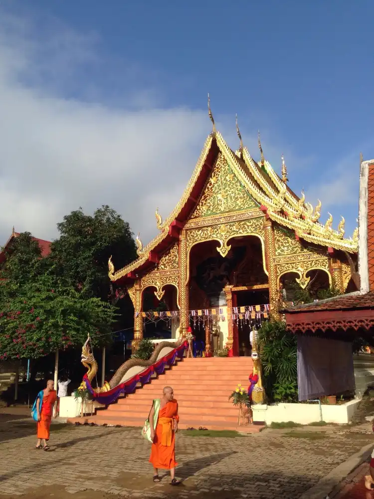 Hotels near Chrysanthemum flower