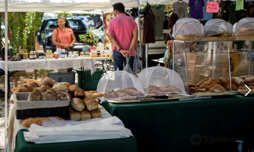 Coconut Grove Farmer's Market