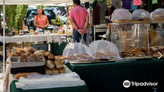Coconut Grove Farmer's Market