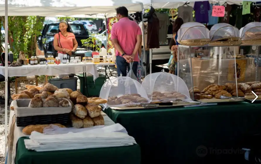 Hotels near Coconut Grove Farmer's Market