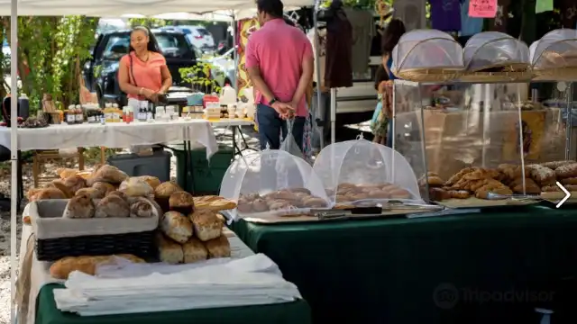 Coconut Grove Farmer's Market