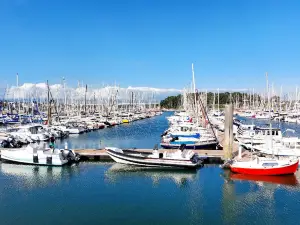 Port de La Trinité-sur-Mer