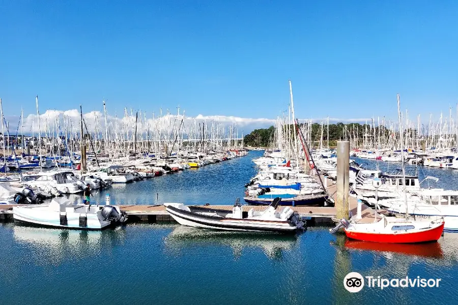 Port of Trinité-sur-Mer