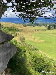 The Grove Scenic Reserve