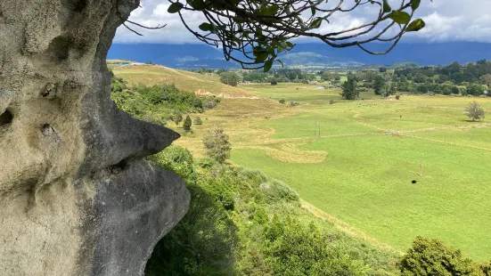 The Grove Scenic Reserve