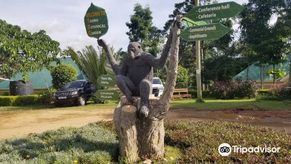Tooro Botanical Gardens