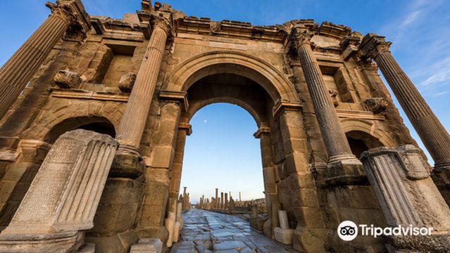 Fancyellow Travel Services