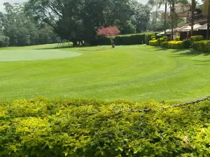 Sigona Golf Club