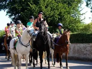 Hill Farm Stables