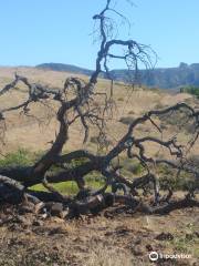 Rocky Peak Trail