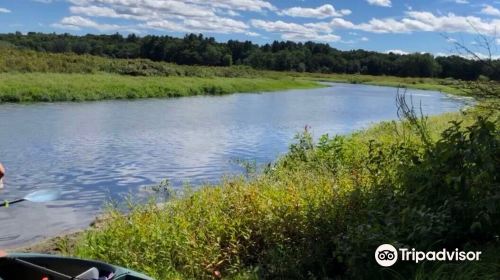 Great Meadows National Wildlife Refuge