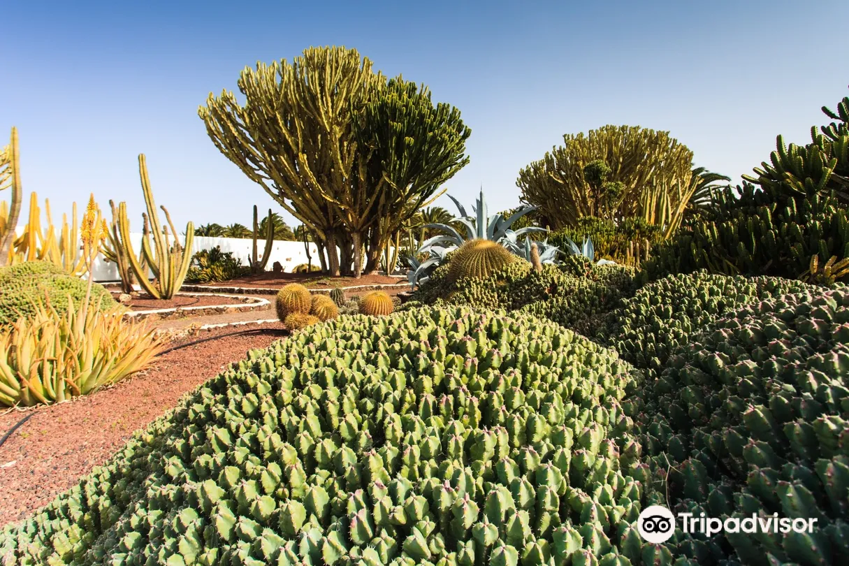 4_Museo del Queso Majorero