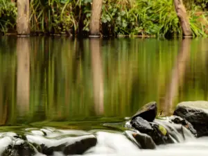 Alyn Waters Country Park