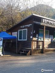 Buljeong Recreational Forest