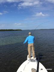 Charlotte Harbor State Park