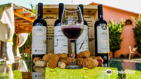 Vinicola Dom Candido