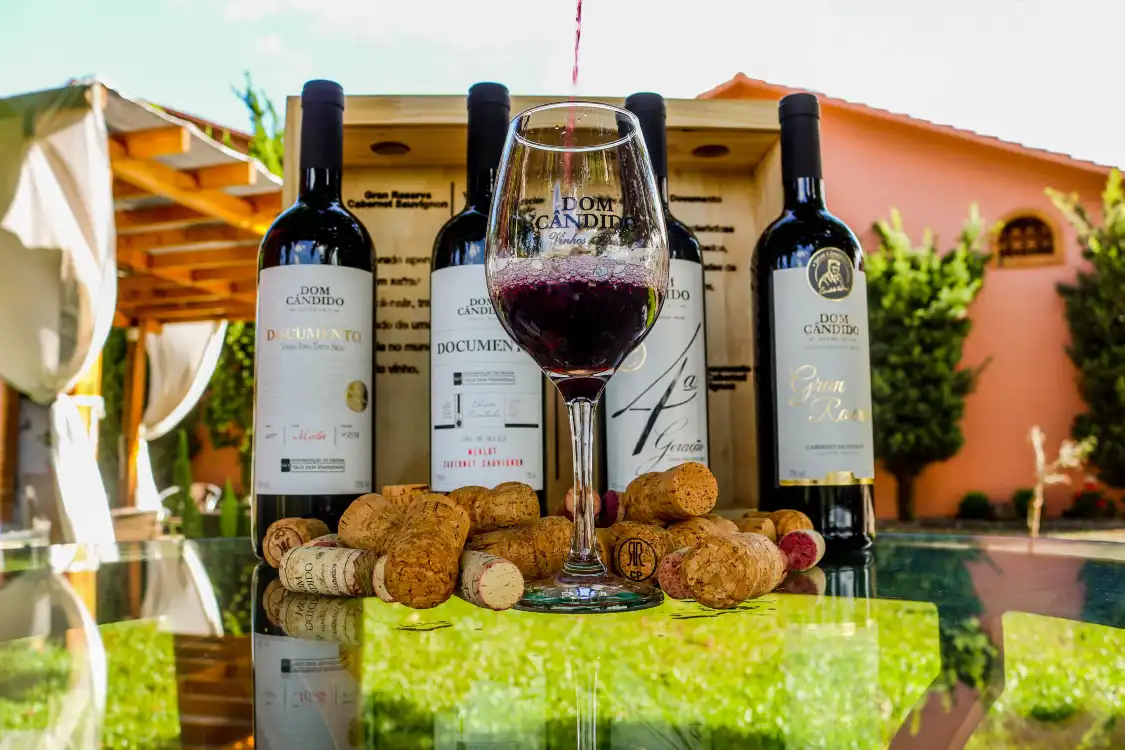 Hotels near Vinicola Dom Candido