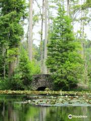 Cypress Gardens