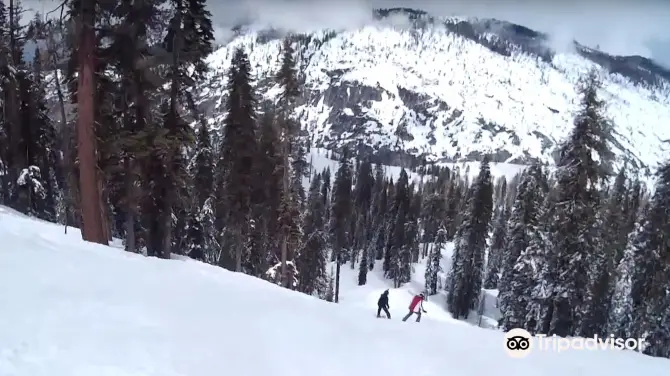 Welcome Suica&JR Line One Day Pass (Pick up at Haneda Airport)