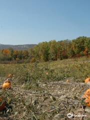 Jenkins - Lueken Orchards