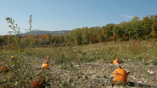 Jenkins - Lueken Orchards