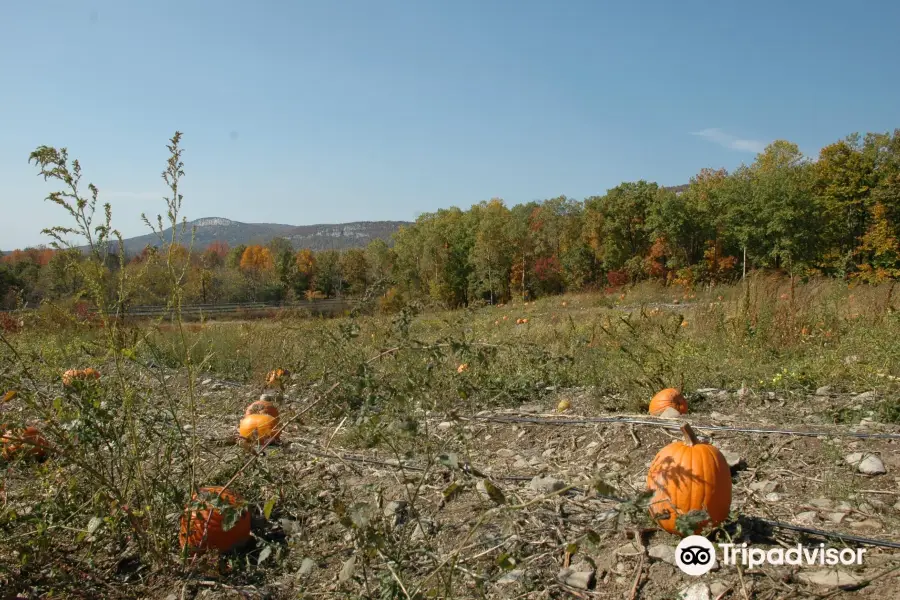 Jenkins - Lueken Orchards