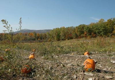 Jenkins - Lueken Orchards