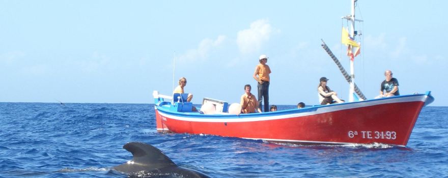 Oceano Whale Watching La Gomera