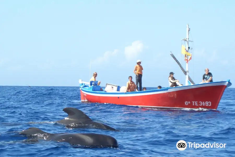 Oceano Whale Watching La Gomera