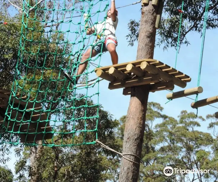 Magic Mountain Merimbula