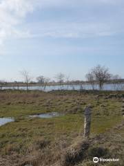 Fjordstien ved Sakskøbing