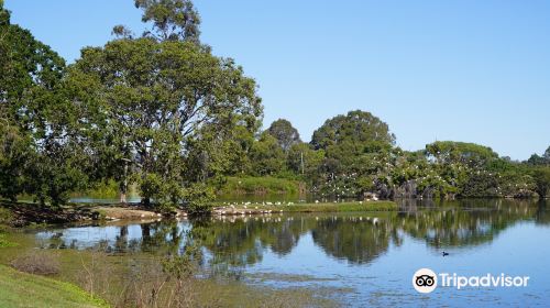 Anzac Park and Ululah Lagoon