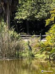 Pond Apple Park and Trail