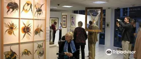 The Willow Art Gallery
