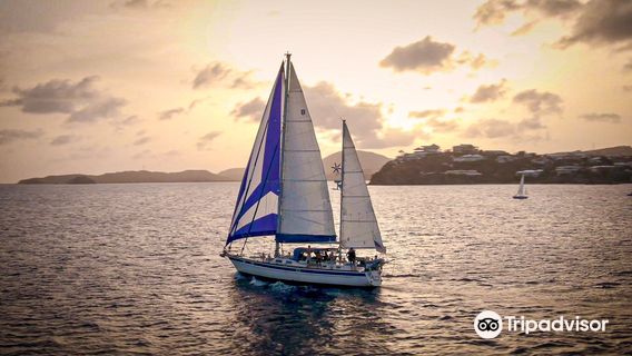 Sea Witch Sailing Charters