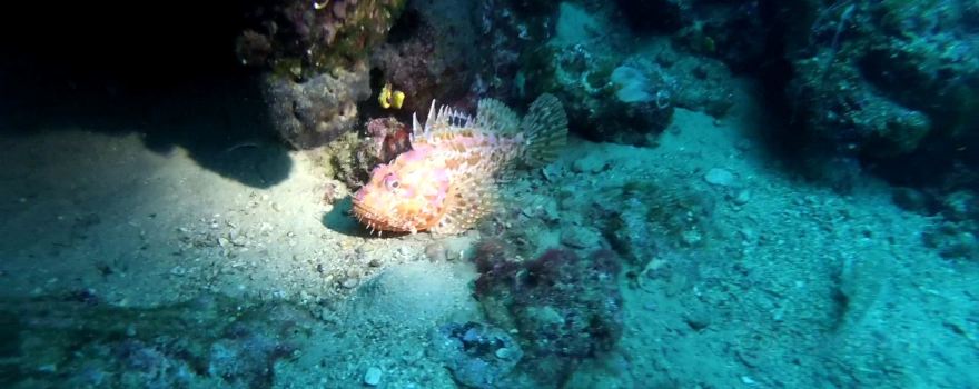 Diving Center Kostrena